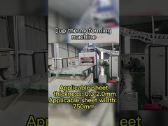 Máy ép nóng chân không điều khiển PLC cho vật liệu có thể phân hủy Độ sâu hình thành tối đa 180mm