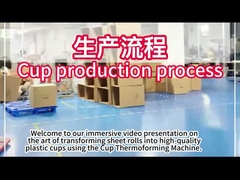 Máy tạo nhiệt nhựa PLC với diện tích hình thành 750 * 500mm