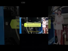 Máy làm đĩa và cốc nhựa dùng một lần hiệu quả cao và tiết kiệm năng lượng