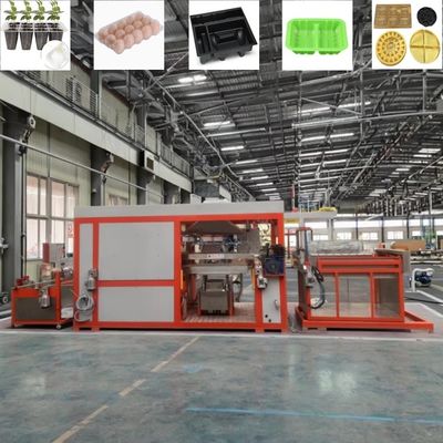 Máy tạo chân không nhựa hoàn toàn tự động Máy nạp trứng nhựa