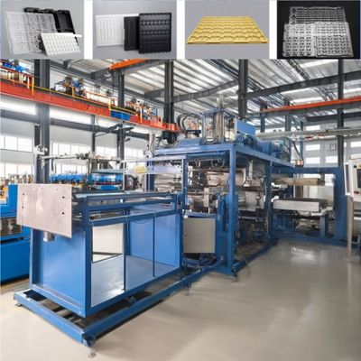 Máy hình nhiệt nhựa khoang gieo giống loại chế biến Máy hình chân không nhựa
