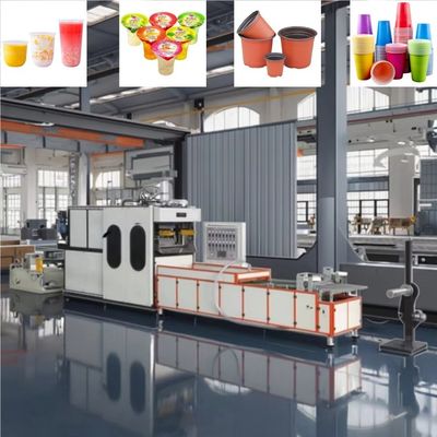 Máy tạo cốc nhựa hoàn toàn tự động
