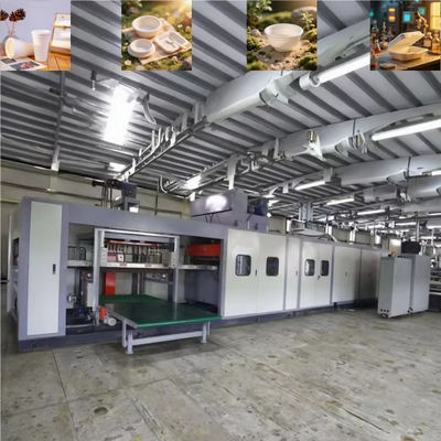 Máy chế tạo hộp ăn trưa dùng một lần hoàn toàn tự động