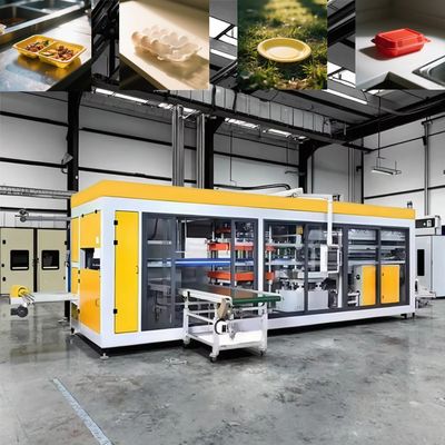 Máy tạo nhiệt hộp nhựa hoàn toàn tự động